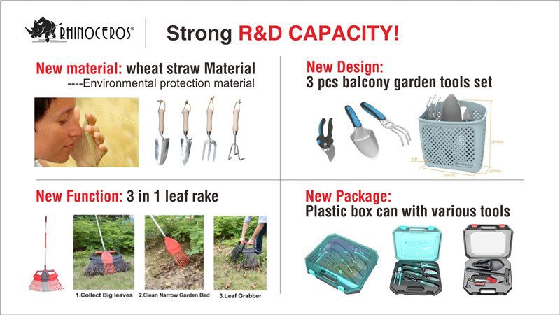 R and D capacity