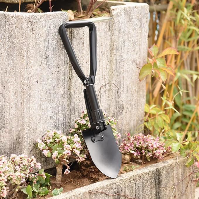 ما هي أفضل وسيلة للتخييم