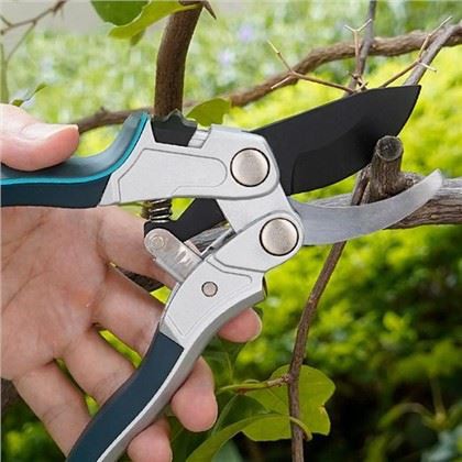 اختيار المقصات المثالية لأشجار التفاح الخاصة بك: دليل البستاني