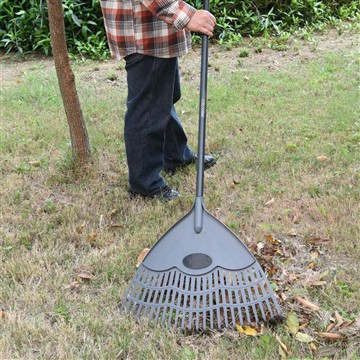 كيف نهتم بفينكا في فصل الشتاء؟