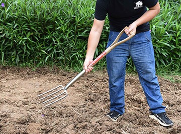 مقدمة موجزة عن ثقافة الحدائق الروسية