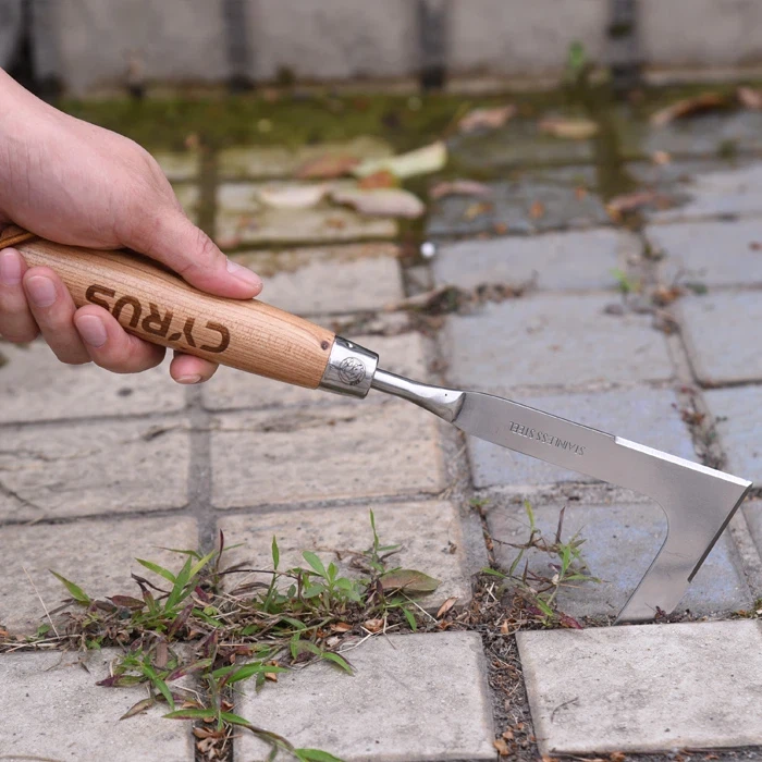 أصبحت إزالة الأعشاب الضارة في الحديقة سهلة باستخدام آلة إزالة الأعشاب الضارة ...