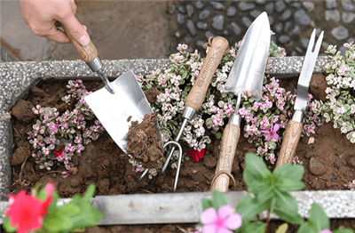 كيفية تنظيف الأدوات الخاصة بك