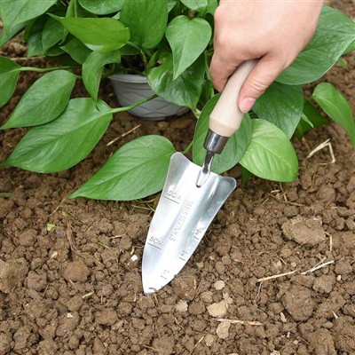 يوميات زراعة الحديقة -1