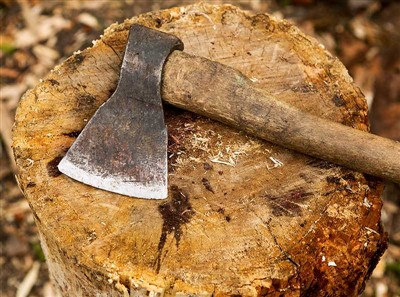 أدوات قطع الأشجار ومعدات السلامة