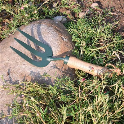 مغامرات أدوات الحدائق اليومية