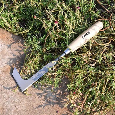 كيفية استخدام أداة إزالة الأعشاب الضارة بشكل صحيح