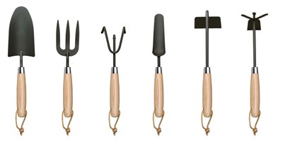 زراعة الطماطم في المنزل