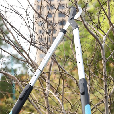 البستنة   ل   مشغول   الأفراد٪ 3 أ   نصائح   ل   رعاية   ل   الخاص بك   حديقة...