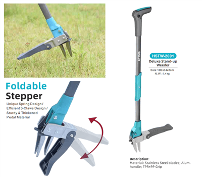 الاحتفال بمهرجان منتصف الخريف في جميع أنحاء العالم: انسجام بين التقاليد وأدوا...